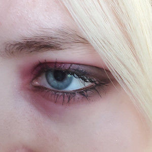 Meet your Posher, Dion